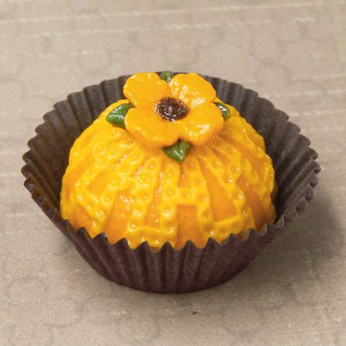 Click to view detail for HG-234 Truffle, Garden Mango $50